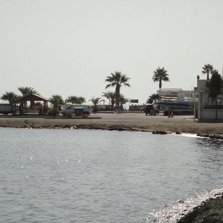 Apartments Mackenzie 1+1 لارنكا المظهر الخارجي الصورة
